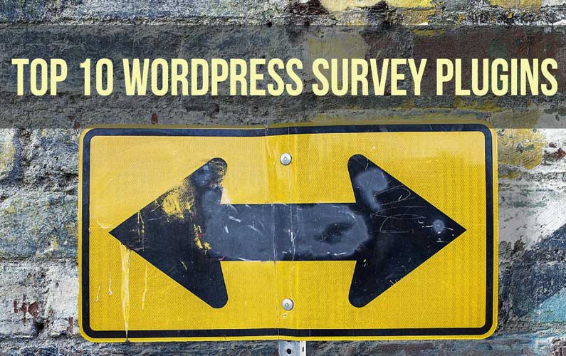 yoga wordpress survey plugins
